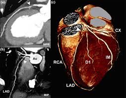Imagen de portada - Cardiología